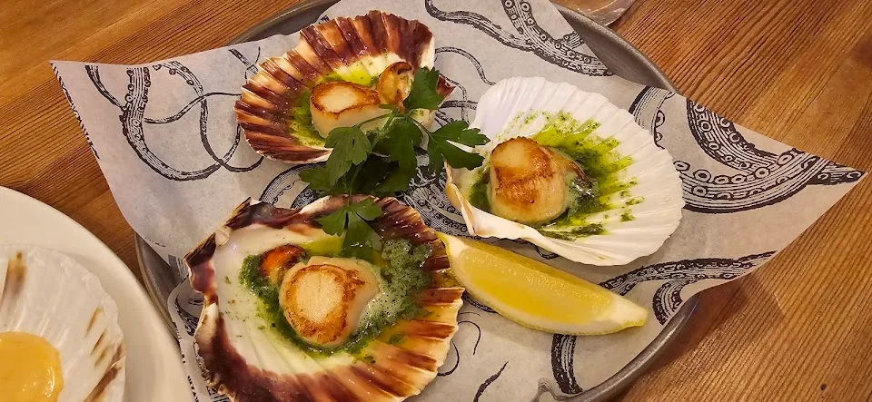The Scallop Shell