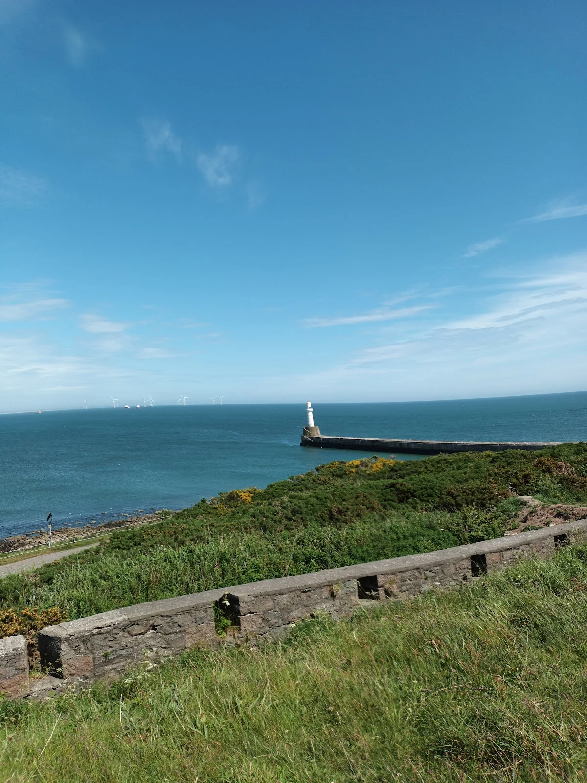 Torry Battery