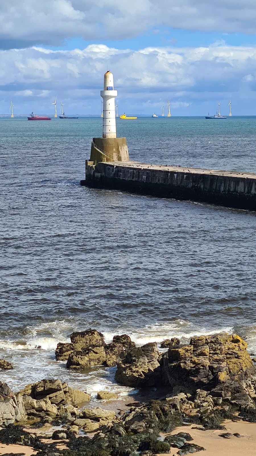 Torry Battery
