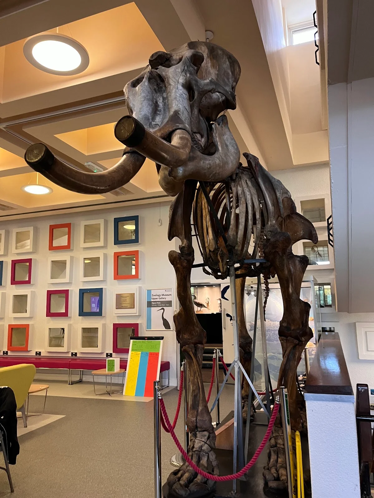 University of Aberdeen Zoology Museum