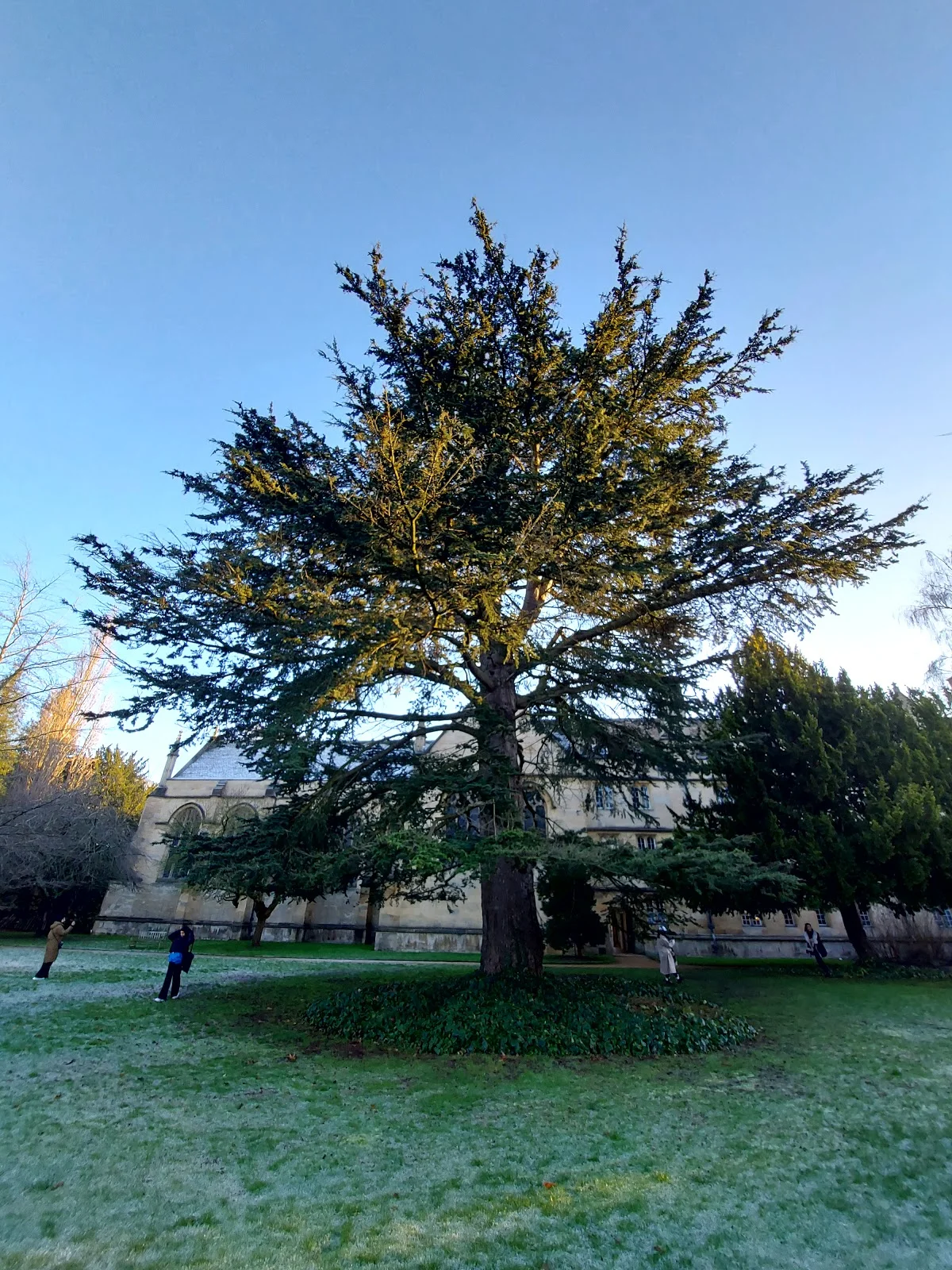 Wadham College