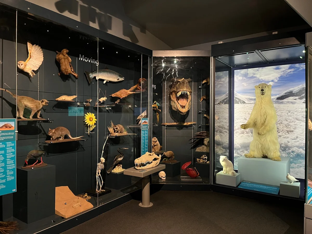 Weston Park Museum