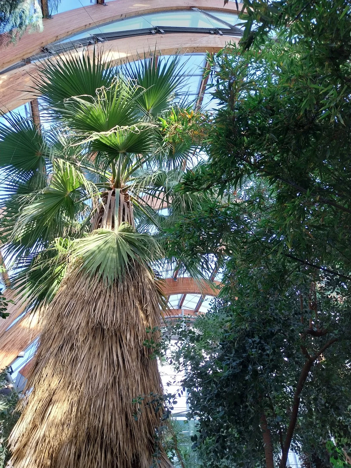 Winter Garden