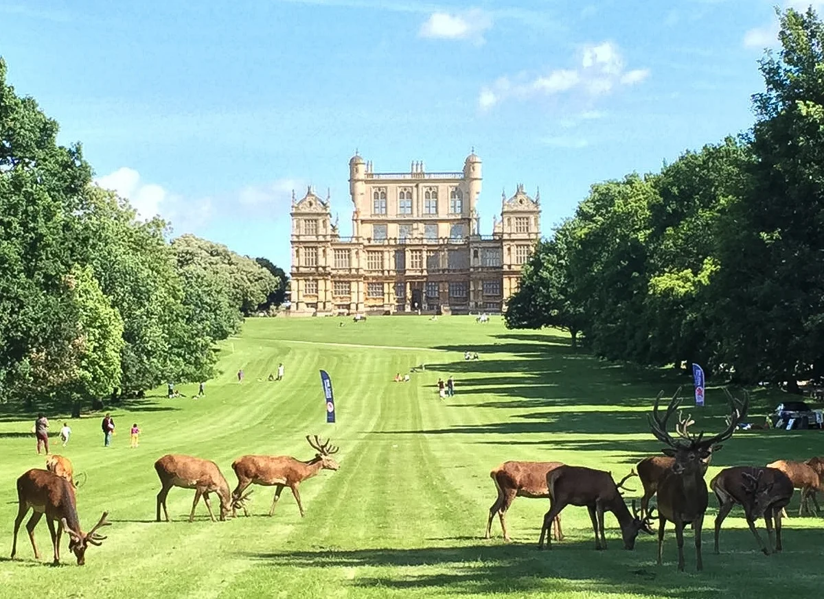 Wollaton Hall, Gardens and Deer Park